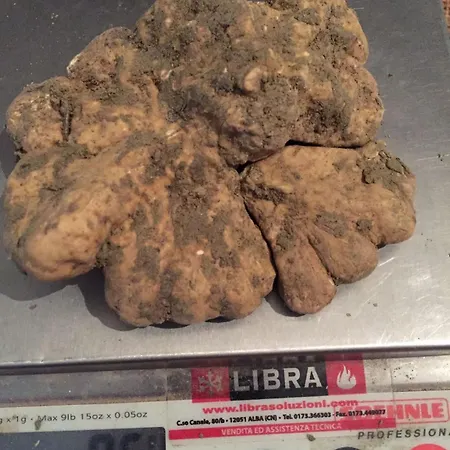 Peiragal Lejlighed La Morra