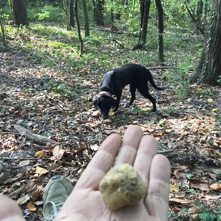 Peiragal Lejlighed *